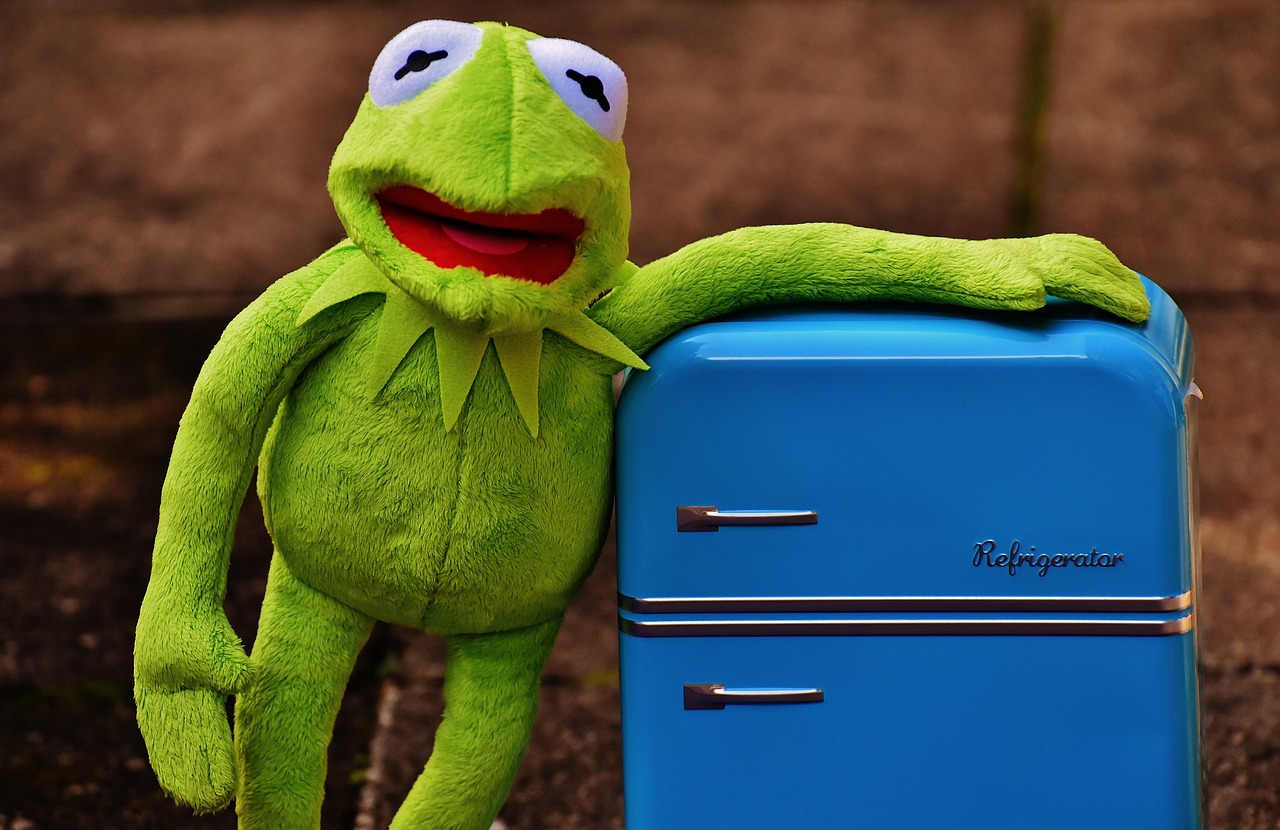 kermit 1726640 1280